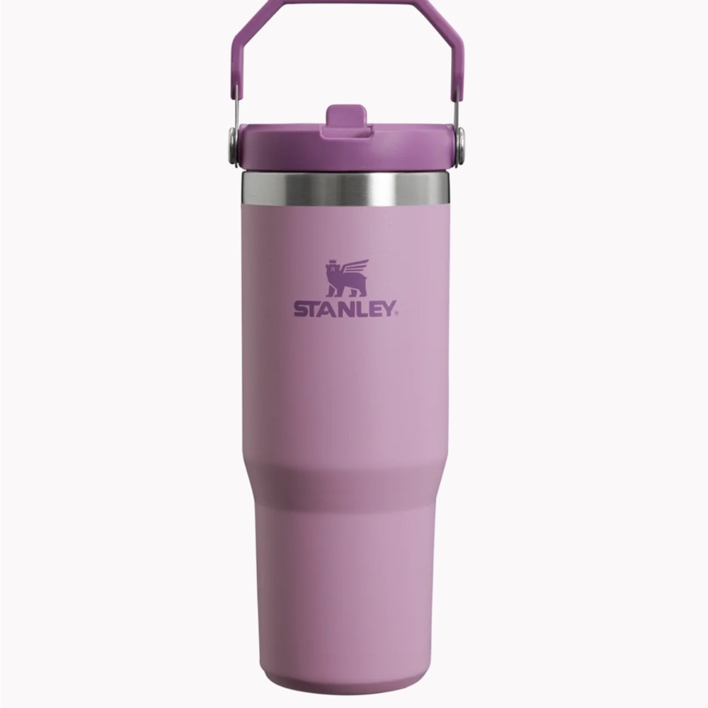 NEW Stanley Flip Straw Tumbler